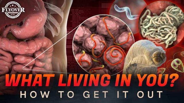 You’ve Got Freaky Stuff in Your Body! Dr. Jason Dean Reveals How to Get It Out