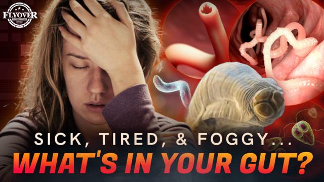 Sick, Tired, &amp; Foggy? The TRUTH About What’s Living in Your Gut! - Dr. Jason Dean